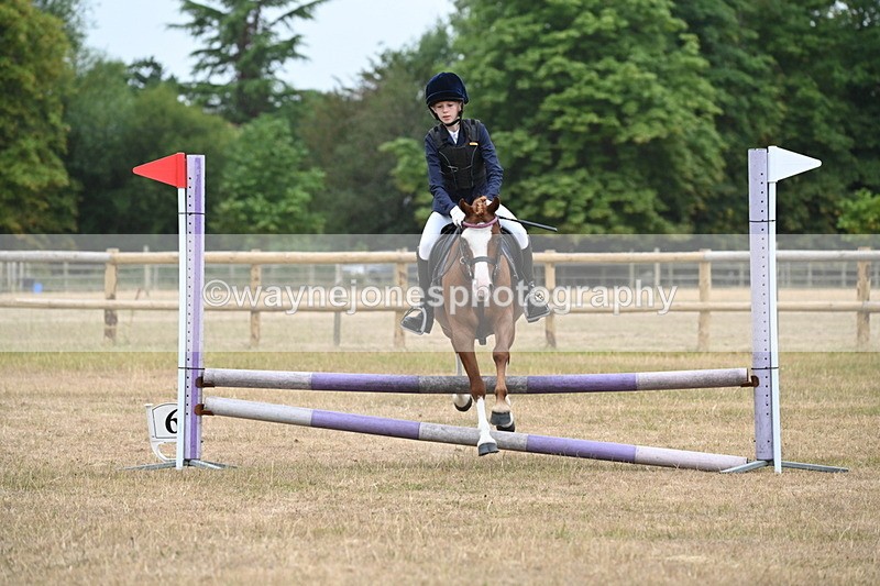 WJ6_0137 - Class 13 Novice Jumping 60cm