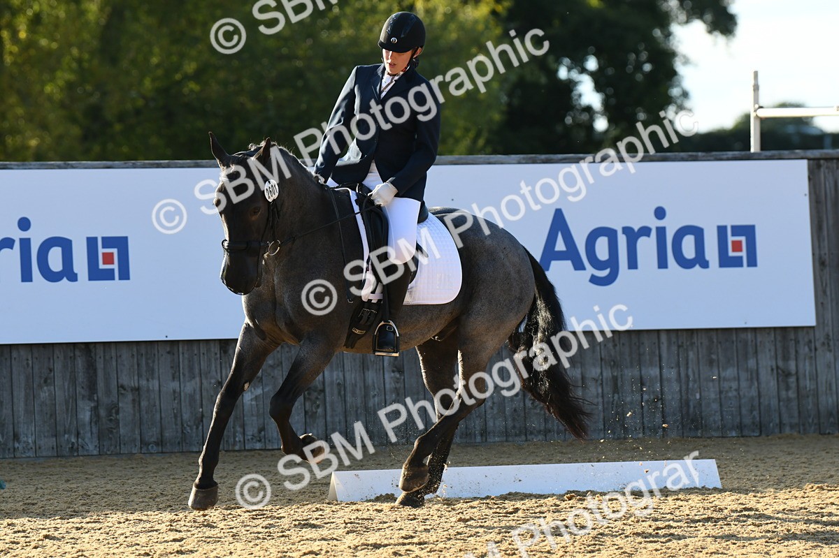 SBM_30715 - D16 - Small Tour Championship - Novice 28
