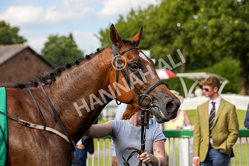 240624-Race 7-Kitsune Power-0566 - Race 7