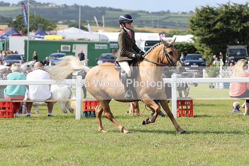 JPP_0835 - Class 16: Cornish Combination Young Rider