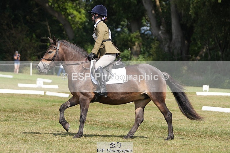 250823A-135015-31086 - Arena B