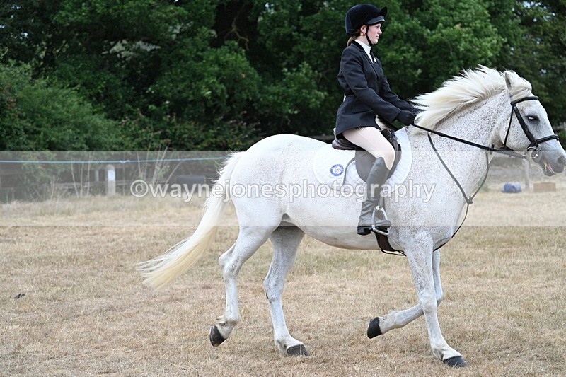 WJ7_0952 - Class 7 Riding Club Show Horse