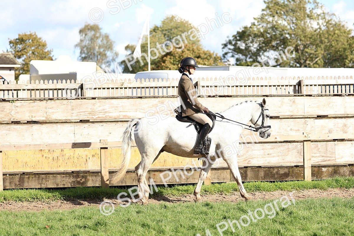 SBM_52344 - S13 - Pony Club Pony
