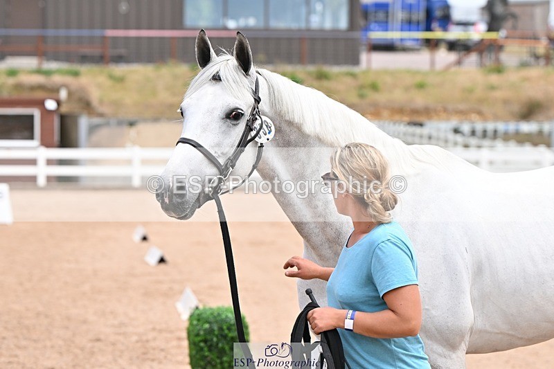 250716-142239-01058 - Trot Up 1.30 to 2.30