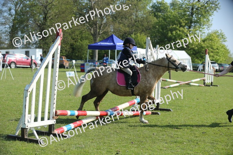 20250427-0882 - Class 1 - Mini Jumping Lead Rein or Assisted