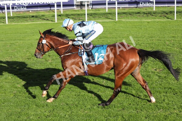 yr08102022r5-40 - Race 5 3.50pm The Coral Committed To Safer Gambling EBFStallions.com Maiden Stakes