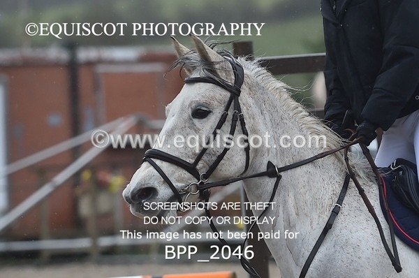 BPP_2046 - CLASS 19 Pony Discovery / 90cm Open