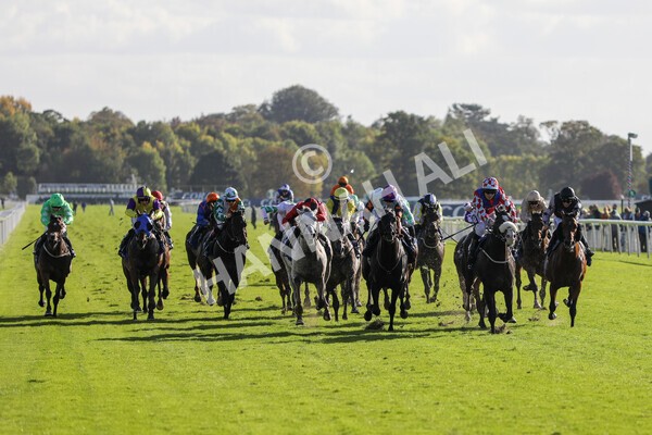yr08102022r4-23 - Race 4 3.15pm The Coral Sprint Trophy