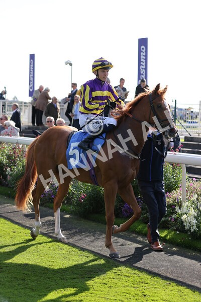yr08102021r1-8 - Race 1 2.05pm Parsonage Hotel and Cloisters Spa Nursery Handicap