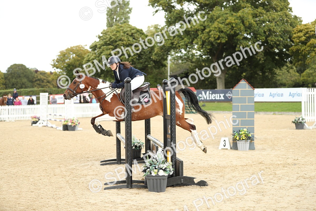 SBM_08597 - J30 - Senior Horse & Pony 70cm Championship