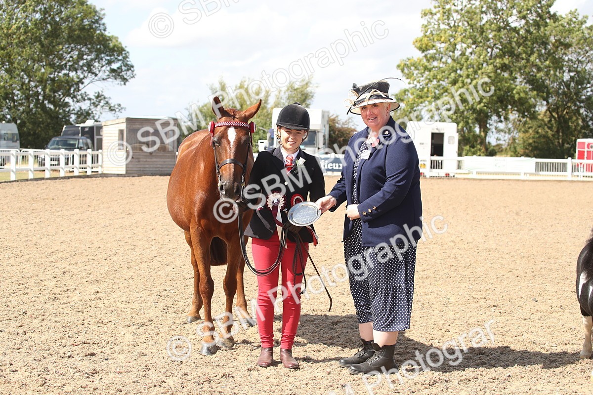 SBM_23151 - Class 606 - 2026 - Area - IH Pre Vet