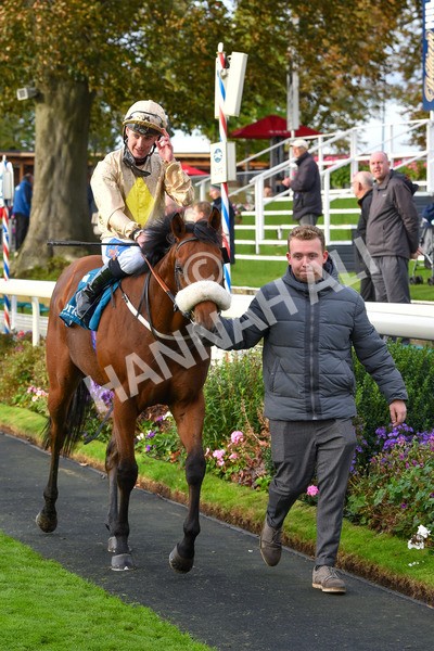 131023-Race 5-Irish Nectar-9751 - Race 5 4.25pm Parsonage Hotel And Cloisters Spa Nursery Handicap