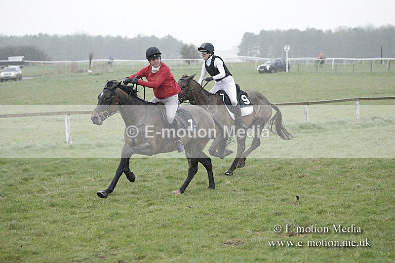 PtP 150320 0025 - New Forest Point-to-Point Larkhill 15/03/20