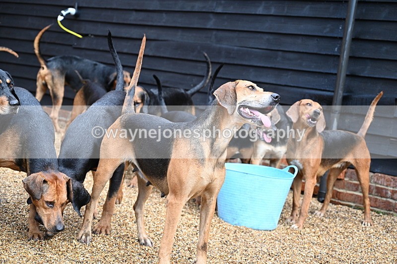WJ7_6989 - Berks & Bucks at Blandy’s Farm 31-08-25
