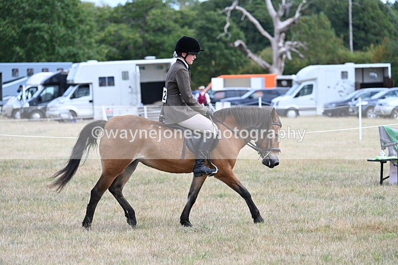 WJ7_5937 - Class 13 Ridden Veterans