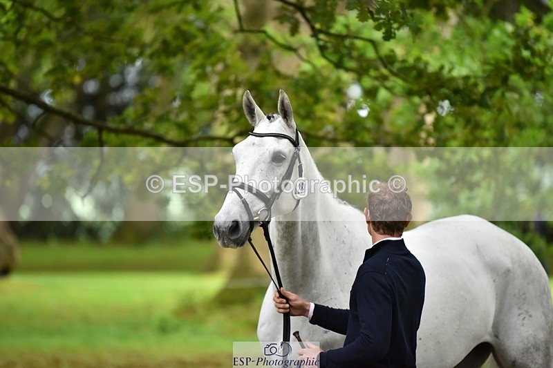 240522-170824-01413 - 284-MONBEG_STONE_TOWN-Jack_Pinkney