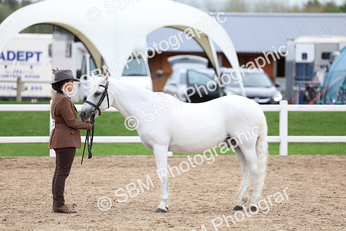 SBM_05961 - Class 29 - IH Veteran Pony