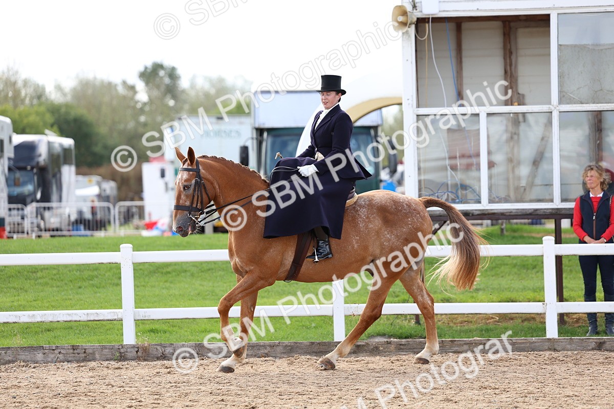 SBM_03247 - Class 22 - SSA Equitation (any age)