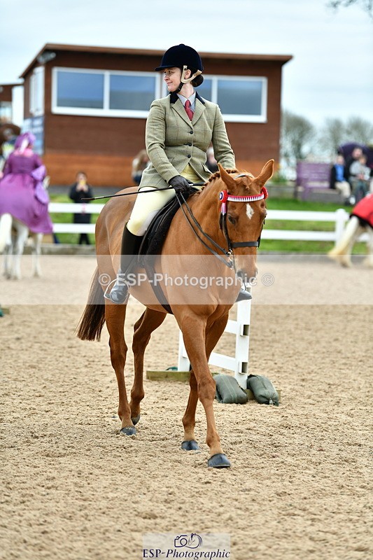 230416A-144656-05300 - Cls 64 Racehorse to Show Horse