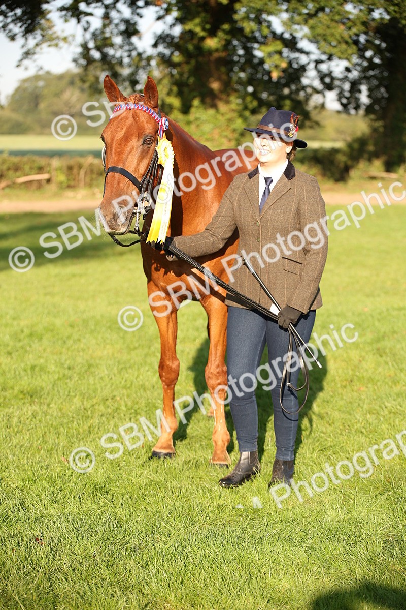 SBM_57593 - S50 - Foreign Breeds In Hand