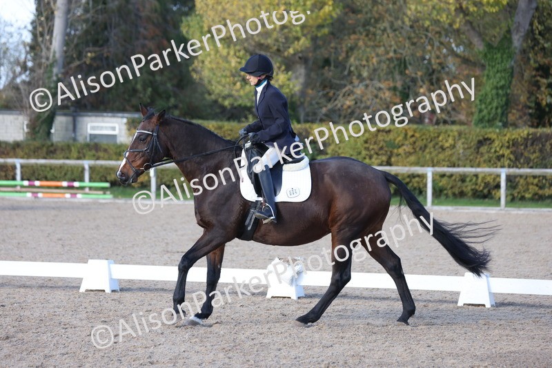 20251101-0579 - Class 4 - Novice 2