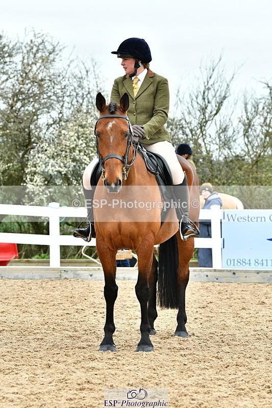 230416A-142307-05111 - Cls 67 Ridden Show Hunter