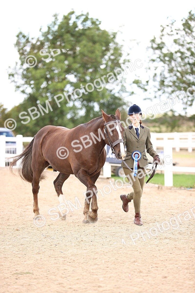 SBM_10407 - Class 405 - IH Show Cob