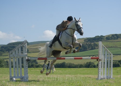 115 - Moniaive Horse Show 2008
