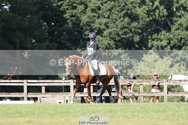 250823A-103654-27749 - Arena D