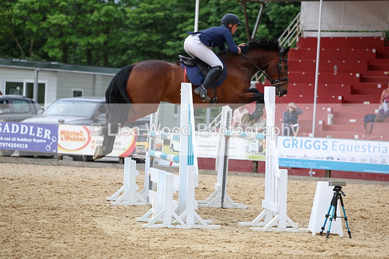 3E7A7899 - Class 8: Senior Foxhunter/1.20 open