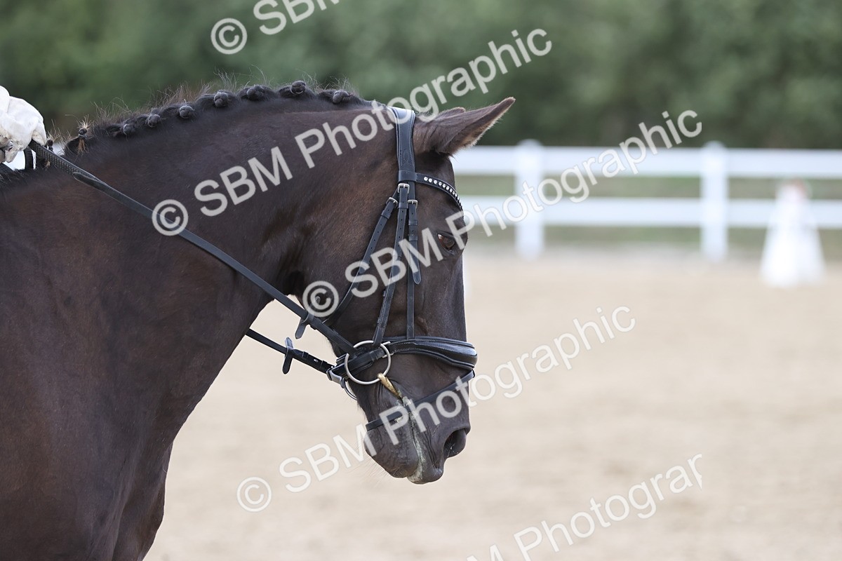 SBM_003851 - Class 9 - Novice 3 Champs