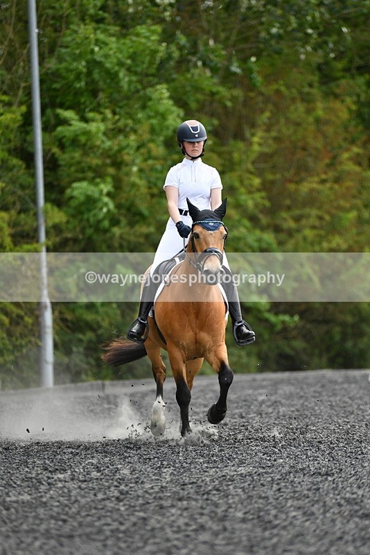 WJ5_1034 - Time 13:45 to 14:20