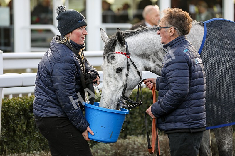 120224-Race 5-Milldam-7760 - Race 5