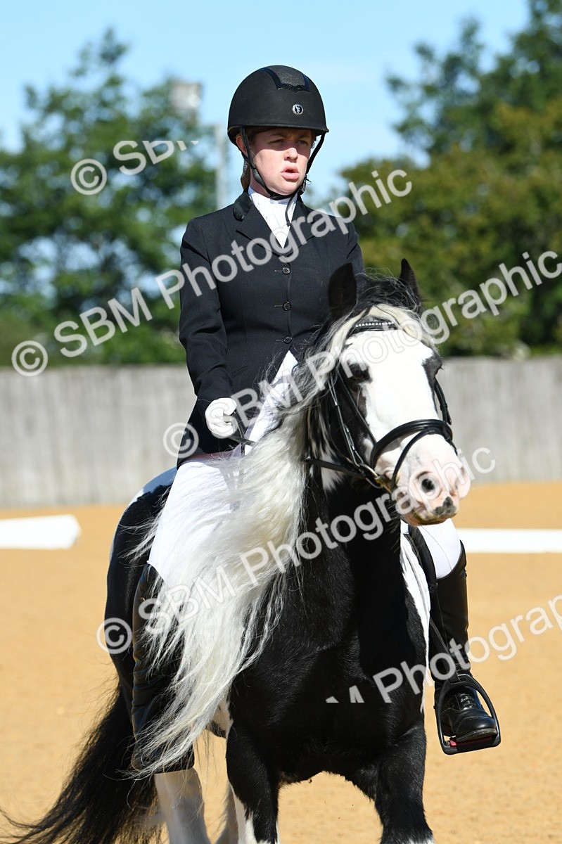 SBM_18083 - D4 - Small Tour Championship - Intro B