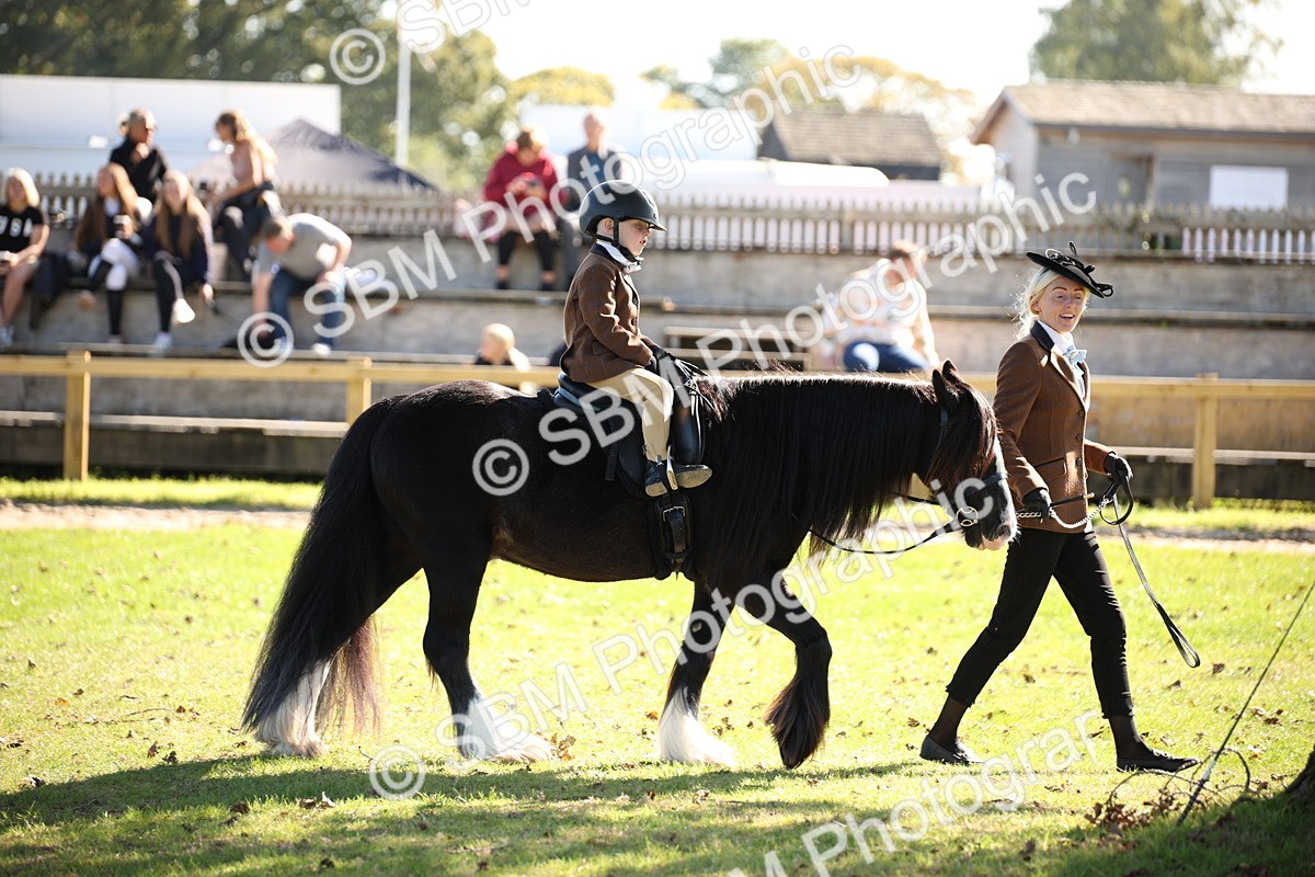 SBM_38984 - S11 - Best Ridden Horse & Pony