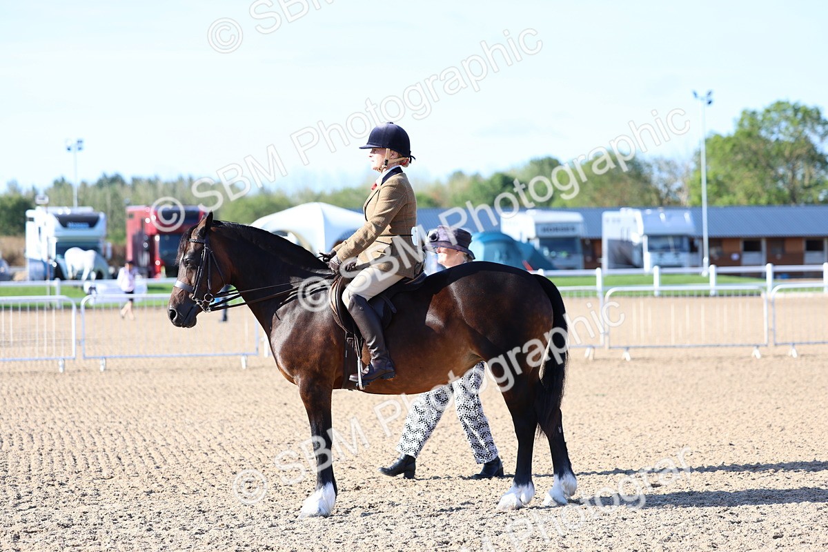 SBM_08857 - Class 302 - Ridden M&M - Large Breeds