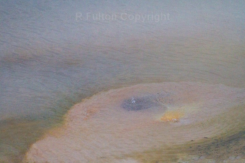 Geyser Detail 2 - Yellowstone