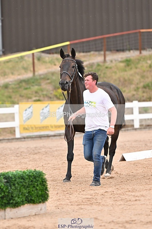 250716-160956-02477 - Trot Up 3.30 to 4.30