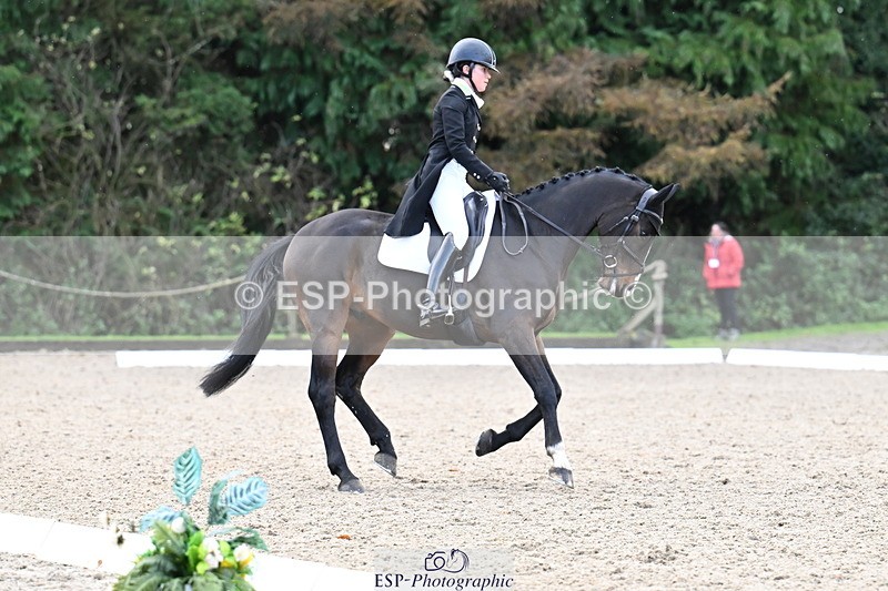 251023A-140408-05450 - B-148-Tarka.Abraham