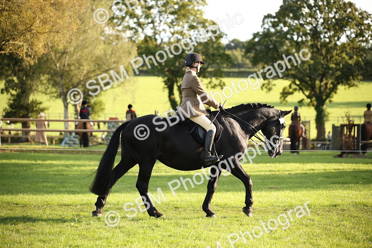 SBM_54377 - S27 - Mature Veteran - Ridden