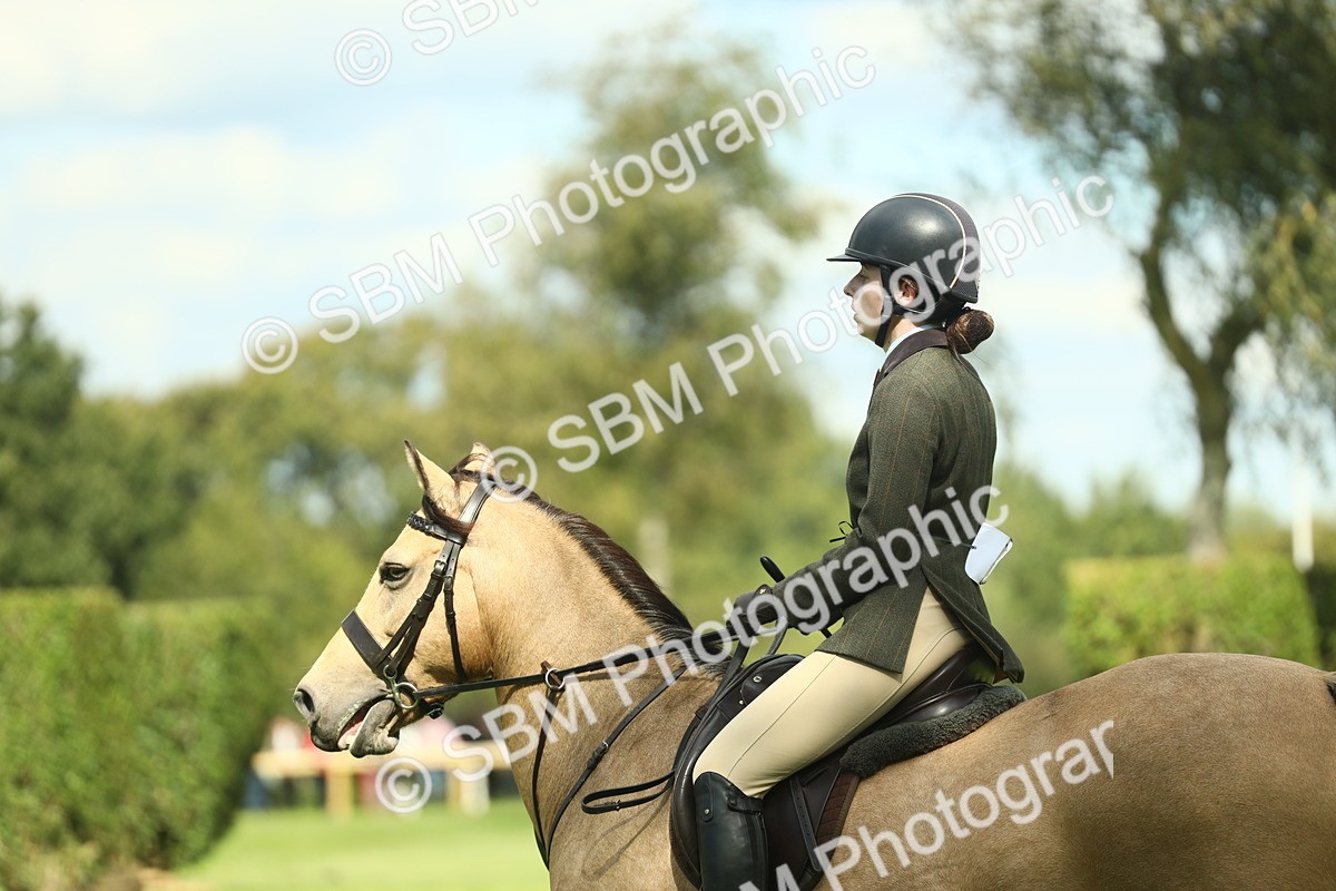 SBM_42862 - S30 - M&M Working hunter Pony