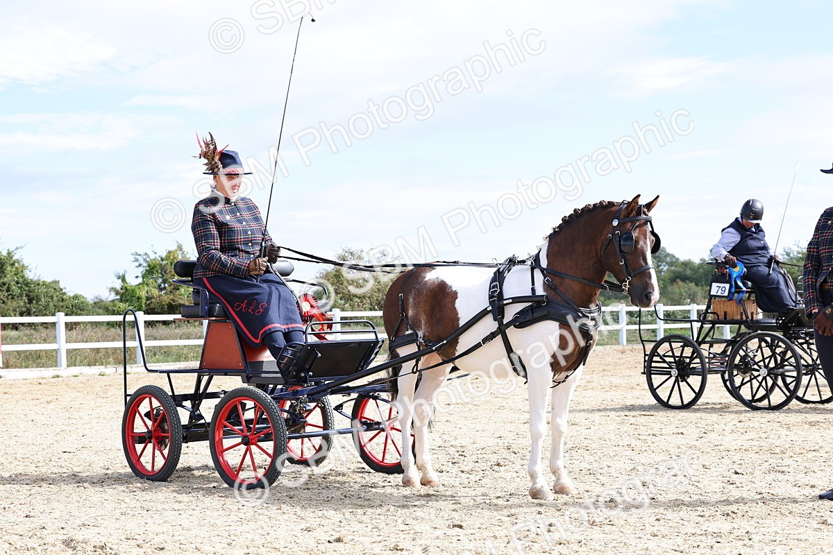 SBM_000942 - Class 8 - Novice Horse or Pony to any vehicle