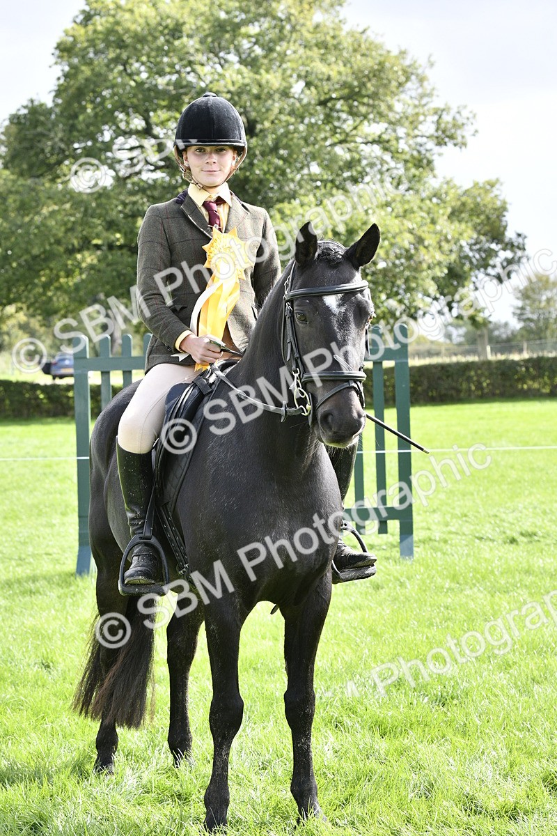 SBM_41653 - S32 - Mountain & Moorland Working Hunter Pony