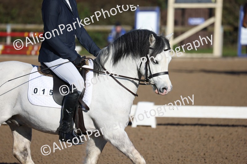 20260214-0043 - Class 2 - Prelim 1