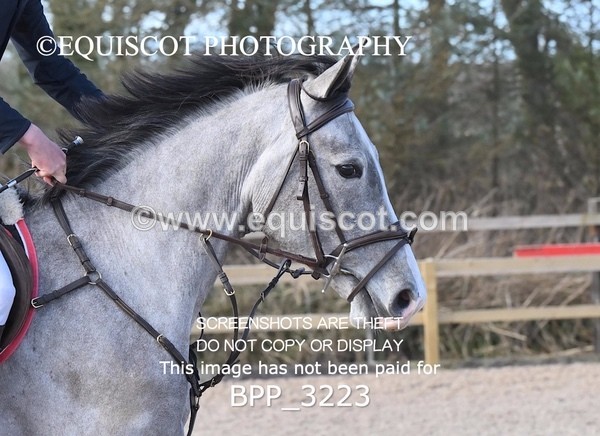 BPP_3223 - CLASS 1  Club/ Unaffiliated 70cms Open