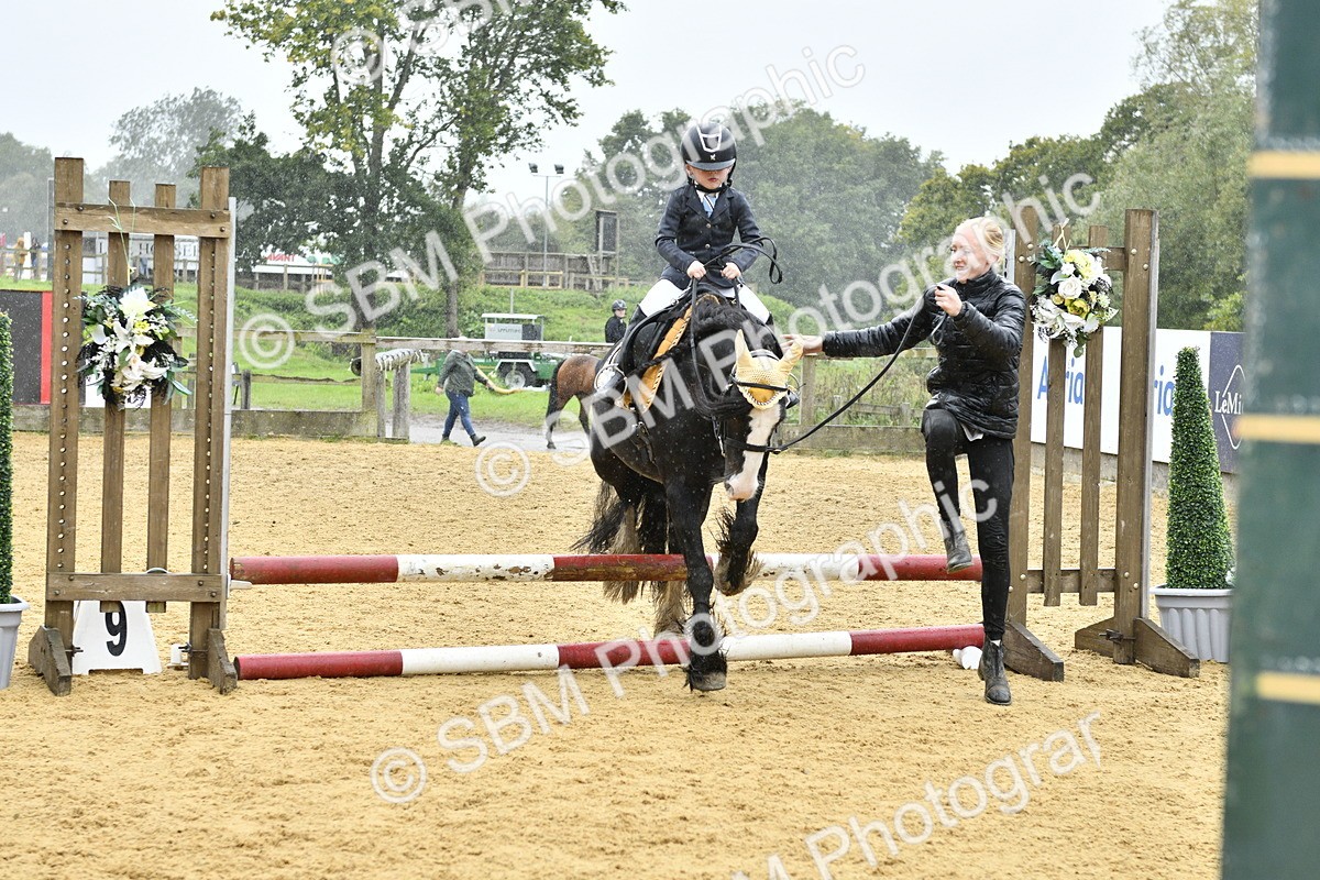 SBM_70947 - J3 - Mini Tour Junior Pony 40cm championship