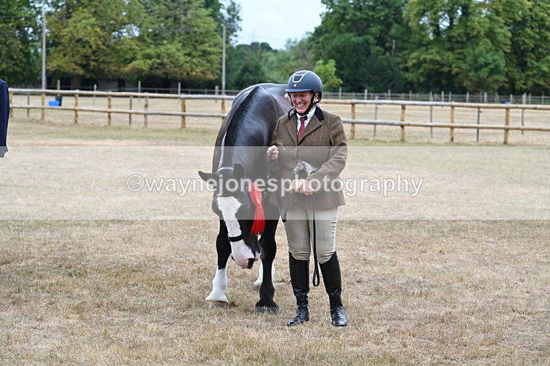 WJ7_0214 - Gelding Champs