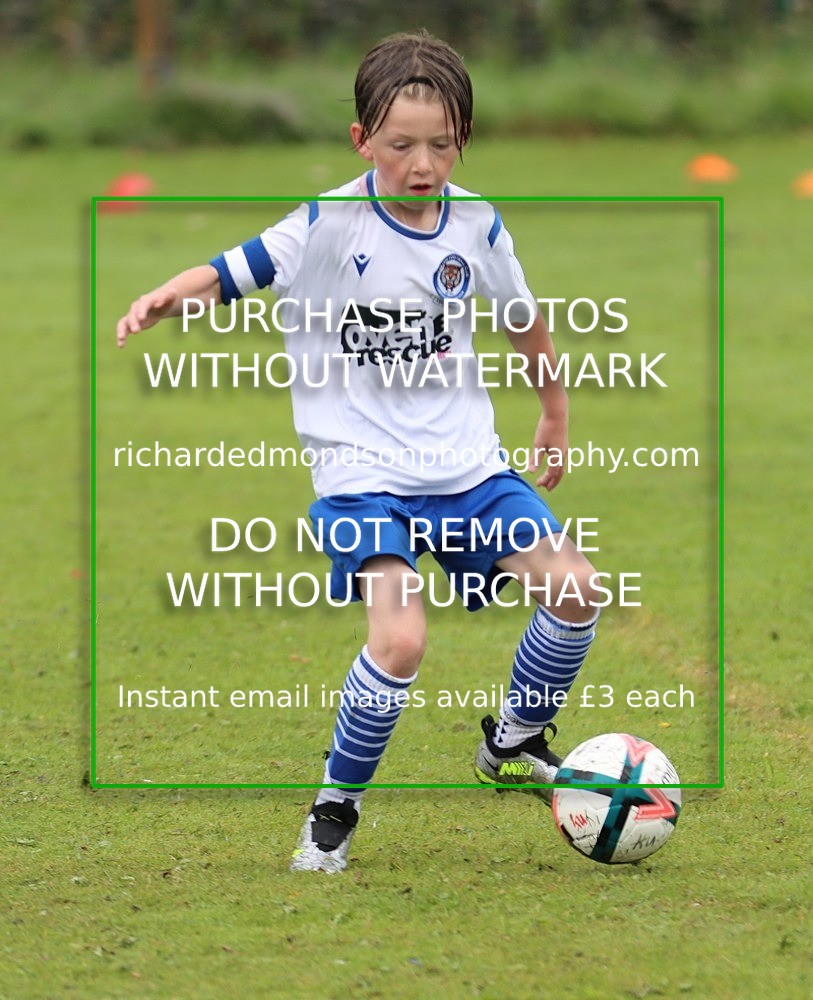 IMG_1970 - Summer Festival Photo Selection Part Two