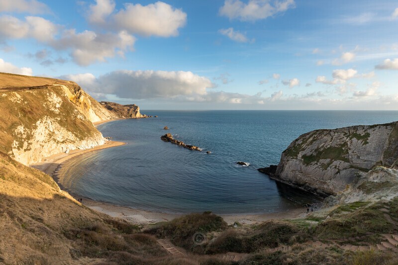 Man o' War - Dorset
