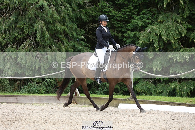 230812-143533-04452 - Cls 5 Novice Bronze 13.40 to 14.45 break